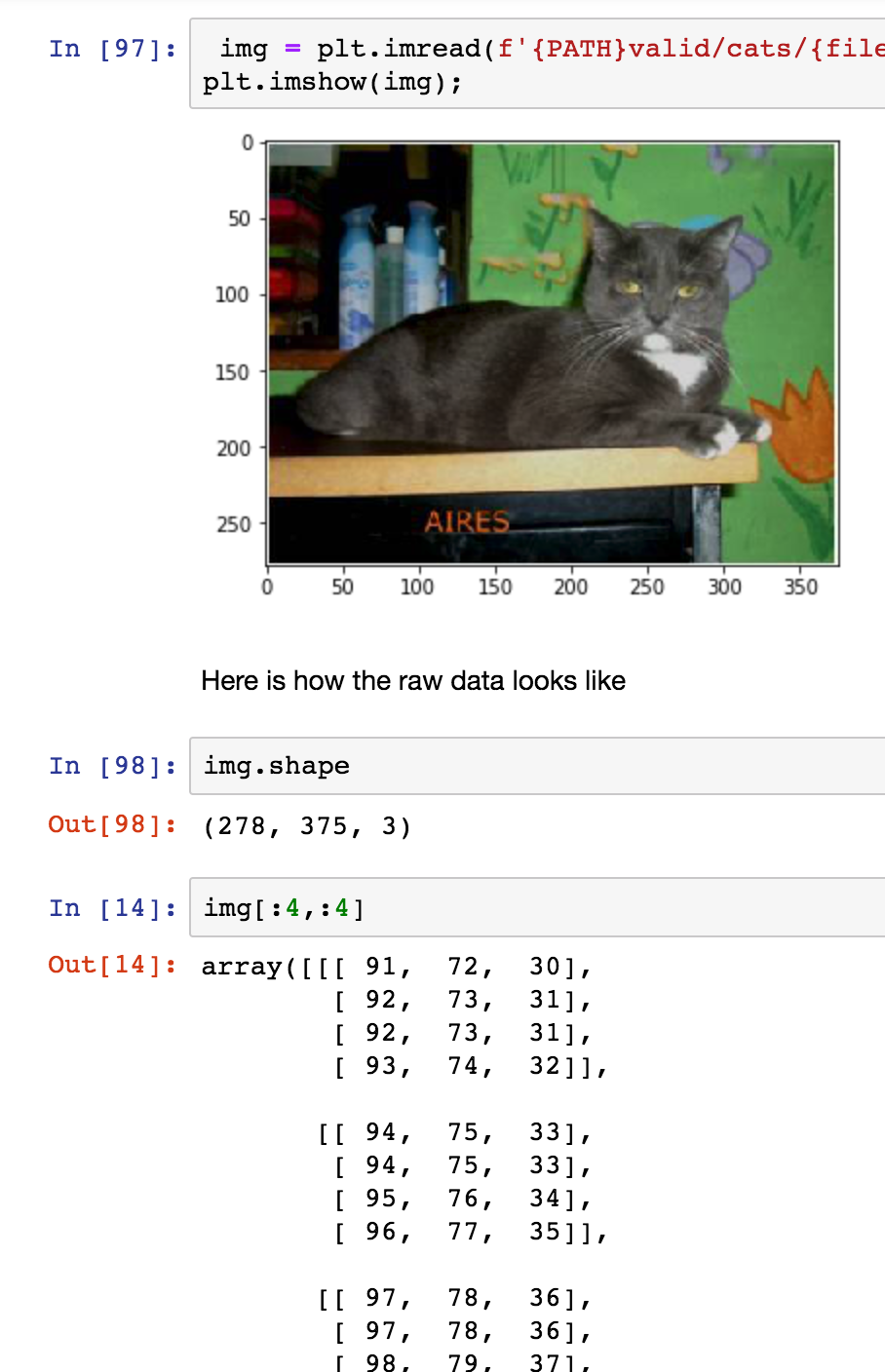 cat image plot and image array