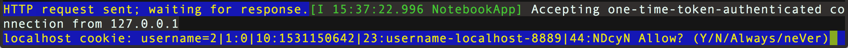 Starting Jupyter Notebooks from the command line requires me to accept cookies